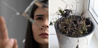 Coisas que estão atraindo pobreza para sua casa, segundo o Feng Shui