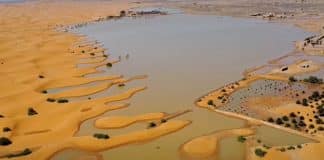 Vídeo: Deserto do Saara fica inundado depois de fortes chuvas – com mais água do que se via há décadas