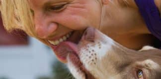 É seguro deixar seu cachorro lamber seu rosto? Aqui está o que os veterinários dizem