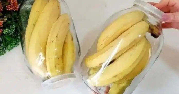 este-e-o-segredo-para-fazer-suas-bananas-durarem-meses-sem-ficar-podres Este é o segredo para fazer suas bananas durarem meses sem ficar podres