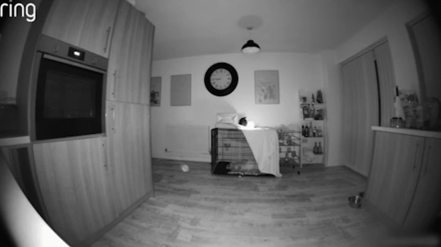 sabiaspalavras.com - 'Fantasma' &eacute; capturado em c&acirc;mera de campainha com detalhes assustadores - enquanto um orbe misterioso flutua pela casa