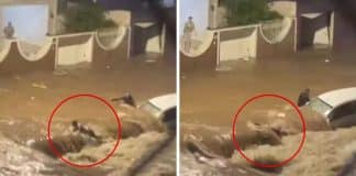 Vídeo: Mulher desaparece ao ser arrastada por enxurrada causada por forte chuva em Campinas, interior de SP