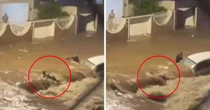 video-mulher-desaparece-ao-ser-arrastada-por-enxurrada-causada-por-forte-chuva-em-campinas-interior-de-sp Vídeo: Mulher desaparece ao ser arrastada por enxurrada causada por forte chuva em Campinas, interior de SP