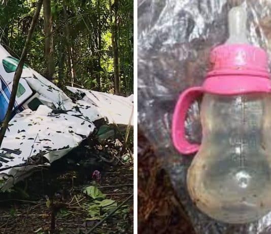 Filme com história extraordinária de crianças desaparecidas na Amazônia está entre os mais assistidos na Netflix