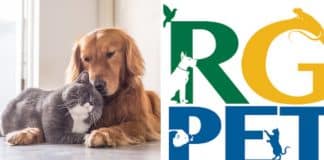 Governo brasileiro lança “RG Pet” com identidade única para cães e gatos; saiba como obter