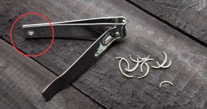 voce-sabe-para-que-serve-o-pequeno-furo-no-cortador-de-unhas Você sabe para que serve o pequeno furo no cortador de unhas?