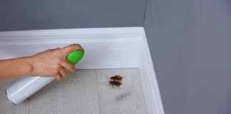 Livre-se de mosquitos, pernilongos e outros insetos com esse simples inseticida caseiro poderoso