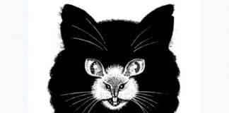 Qual animal você vê primeiro? Essa ilusão de ótica revela sua personalidade com base no animal que você viu