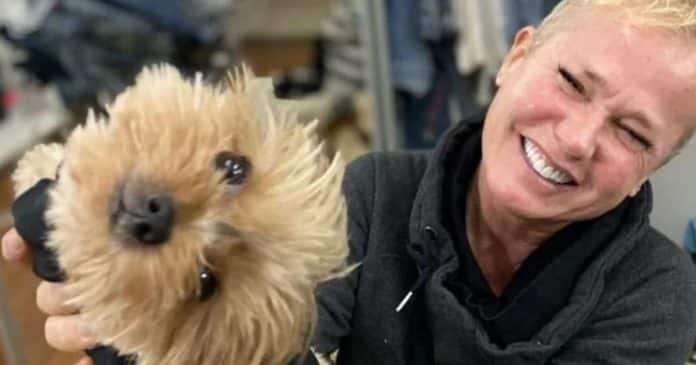 xuxa-revela-quarto-luxuoso-de-sua-cadela-doralice-e-divide-opinioes-na-internet Xuxa revela quarto luxuoso de sua companheira, Doralice, e divide opiniões na internet