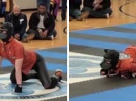 Concurso de adestramento humano viraliza e levanta debates polêmicos sobre “identidade canina”