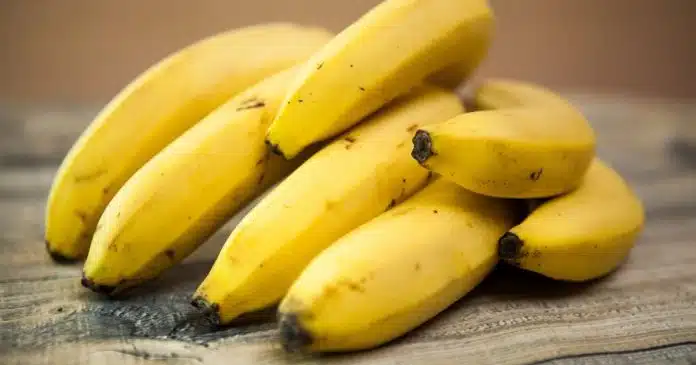 Este é o melhor lugar para guardar bananas e evitar que estraguem, segundo especialistas