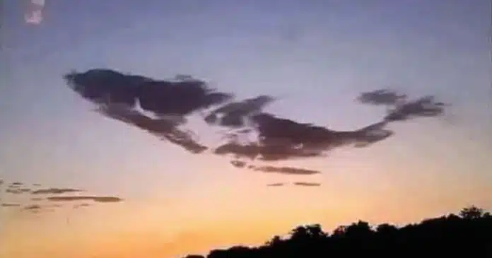 o-que-voce-viu-primeiro-descubra-o-que-isso-revela-sobre-sua-personalidade TESTE VISUAL: O animal que você vê primeiro pode revelar características marcantes da sua personalidade