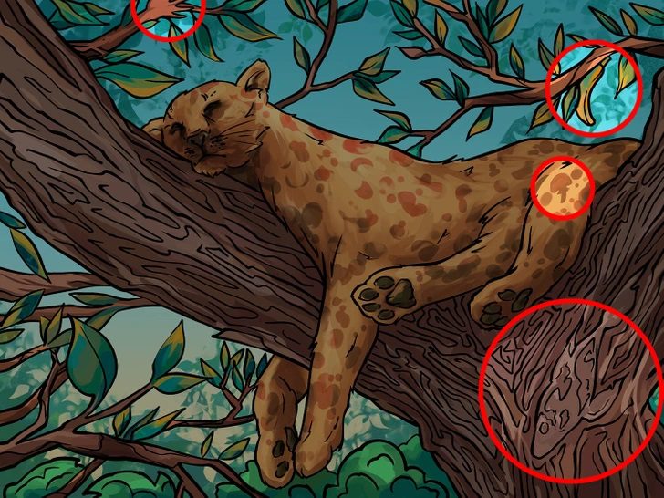 sabiaspalavras.com - Só os mais atentos conseguem encontrar a 'banana, mão, cogumelo e peixe' escondidos nesta imagem da onça