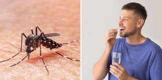 Vitamina pouco conhecida pode ajudar a afastar os terríveis mosquitos durante o verão