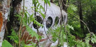 Avião desaparecido choca ao reaparecer após 35 anos com 92 esqueletos a bordo