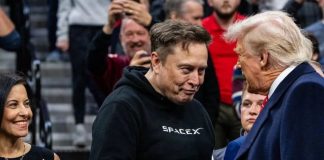 Elon Musk faz alegação bombástica sobre Donald Trump em meio a briga nas redes sociais com o presidente dos EUA