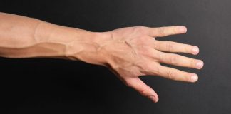 O que significa quando suas veias estão mais visíveis? Veja as causas e quando se preocupar