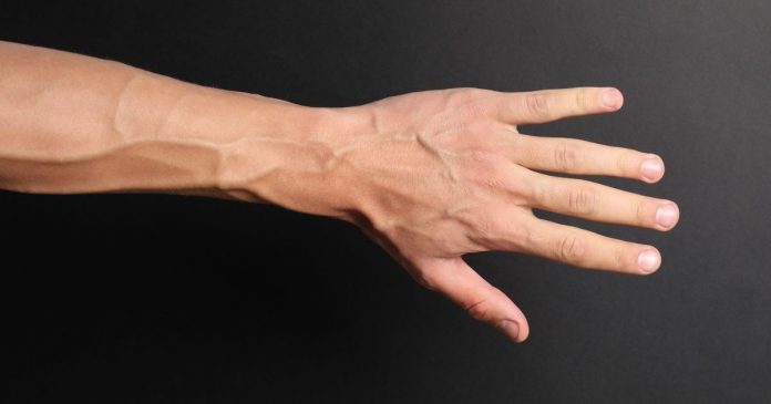 O que significa quando suas veias estão mais visíveis? Veja as causas e quando se preocupar