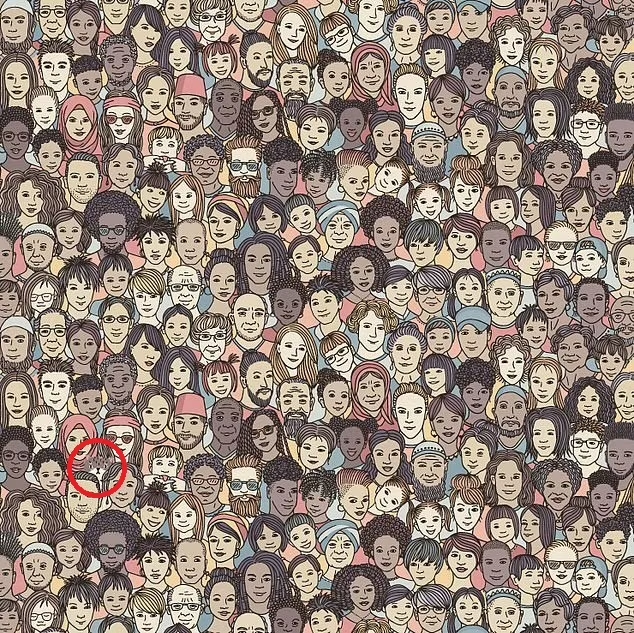 sabiaspalavras.com - Teste de percepção: Só 2% das pessoas enxergam o gato escondido nesta imagem – Você conseguiu em menos de 5 segundos?