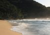sabiaspalavras.com - Sábias Palavras