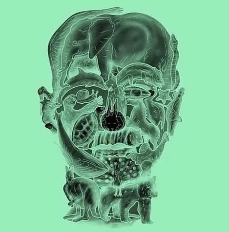 sabiaspalavras.com - TESTE: O animal que você avistar primeiro na imagem revela uma "fraqueza oculta" - Mas não trapaceie