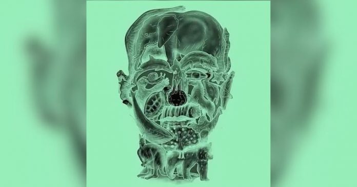 teste-o-animal-que-voce-avistar-primeiro-na-imagem-revela-uma-fraqueza-oculta-mas-nao-trapaceie TESTE: O animal que você avistar primeiro na imagem revela uma “fraqueza oculta” – Mas não trapaceie