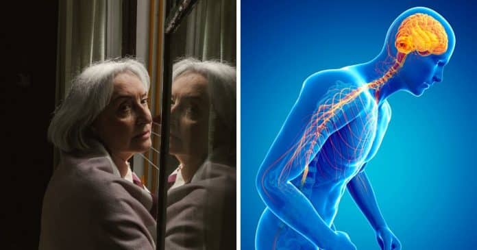 72-dos-brasileiros-tem-esse-habito-que-favorece-o-desenvolvimento-de-parkinson-revela-estudo-alarmante 72% dos brasileiros tem esse hábito que FAVORECE o desenvolvimento de Parkinson, revela estudo alarmante