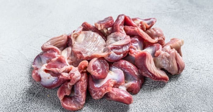 Conheça essa proteína que além de barata, é muito nutritiva e que poucos conhecem
