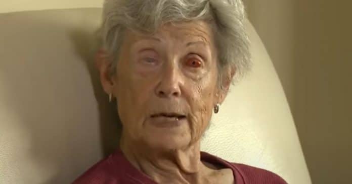 Mulher recupera a visão através do DENTE depois de 10 anos cega – conseguindo ver seu parceiro e cachorro pela primeira vez