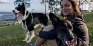 O cachorro PERFEITO para você, de acordo com seu signo do zodíaco