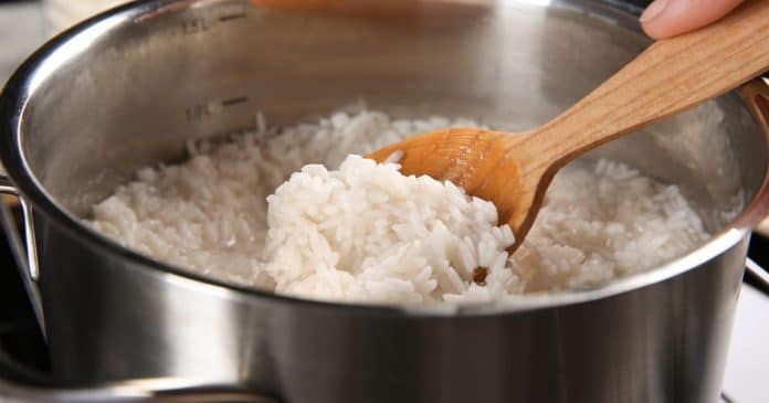 arroz-requentado-faz-mal-saiba-como-consumir-com-seguranca Arroz requentado faz mal? Saiba como consumir com segurança