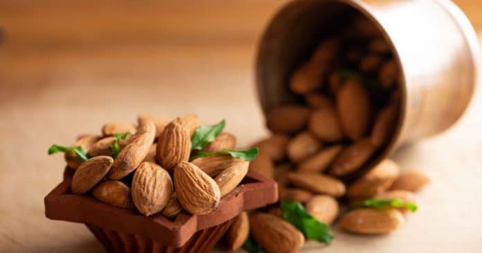 Benefícios das oleaginosas: Por que você deve incluir nozes, castanhas e amêndoas na sua dieta