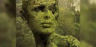 Este teste de personalidade intrigante revela se você está ansioso ou é uma pessoa despreocupada