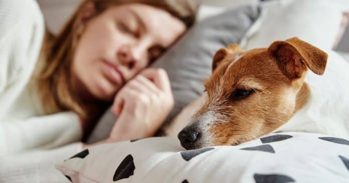 Mulheres dormem melhor ao lado de cães do que de homens, aponta estudo