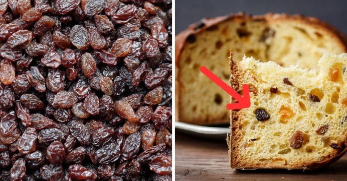 Pessoas ficam chocadas ao descobrir como as ‘uvas passas’ realmente são feitas. Você sabia?