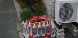 Porque os japoneses colocam garrafas de água em volta das suas casas em vez de as guardar na geladeira?