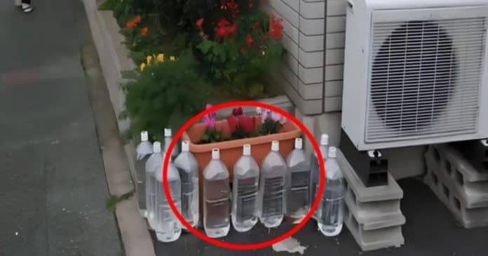 porque-os-japoneses-colocam-garrafas-de-agua-em-volta-das-suas-casas-em-vez-de-as-guardar-na-geladeira Porque os japoneses colocam garrafas de água em volta das suas casas em vez de as guardar na geladeira?