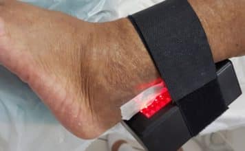 sabiaspalavras.com - Sábias Palavras