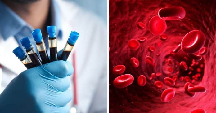 as-pessoas-que-tem-esse-tipo-sanguineo-envelhecem-mais-devagar-sugere-estudo As pessoas que tem esse tipo sanguíneo envelhecem ‘mais devagar’, sugere estudo