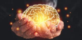 Cientistas brasileiros desenvolvem novo tratamento que promete frear o avanço do Alzheimer