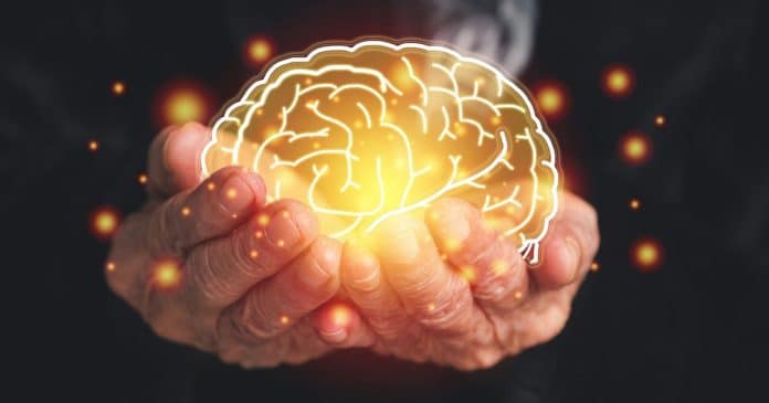 Cientistas brasileiros desenvolvem novo tratamento que promete frear o avanço do Alzheimer