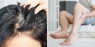 sabiaspalavras.com - Sábias Palavras