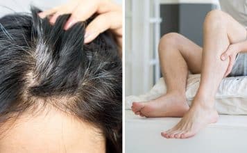 sabiaspalavras.com - Sábias Palavras