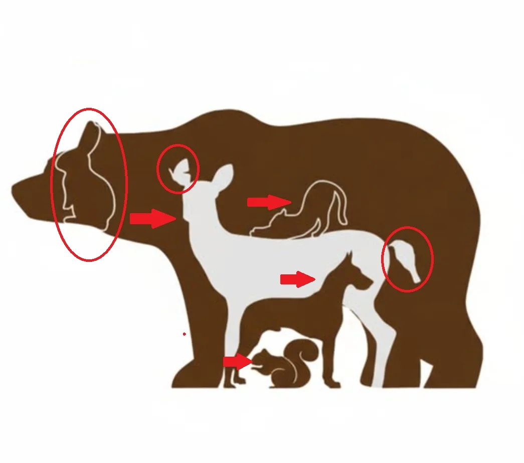 sabiaspalavras.com - Desafio visual: Você consegue acertar o 'número certo' de animais que estão na imagem?