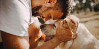 Medicamento inovador que pode ‘aumentar o tempo de vida dos cães’ deve estar disponível à venda em 2026