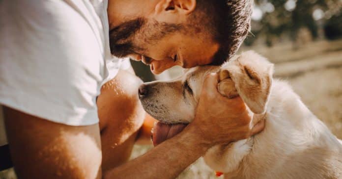 Medicamento inovador que pode ‘aumentar o tempo de vida dos cães’ deve estar disponível à venda em 2026