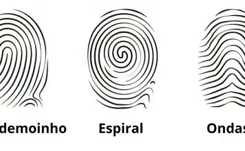 sabiaspalavras.com - Sábias Palavras