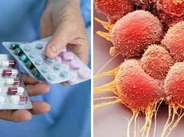 Remédios “contra vermes” comuns podem ser uma possível arma contra o câncer, apontam estudos