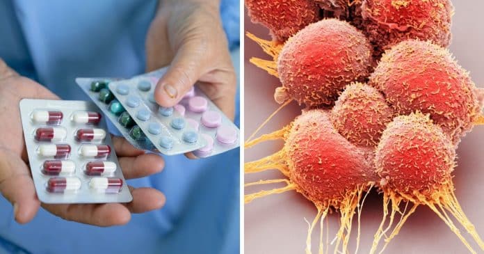 remedios-contra-vermes-comuns-podem-ser-uma-possivel-arma-contra-o-cancer-apontam-estudos Remédios “contra vermes” comuns podem ser uma possível arma contra o câncer, apontam estudos