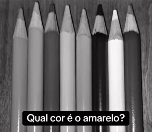 “Teste de intuição”: Você sabe qual lápis é o amarelo?